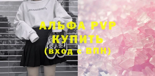 гашик Алексин