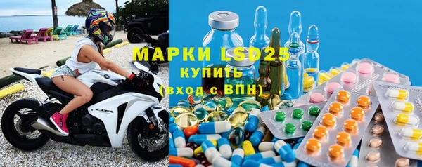 гашик Алексин
