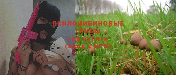 гашик Алексин