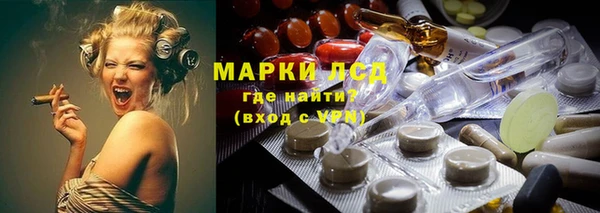гашик Алексин